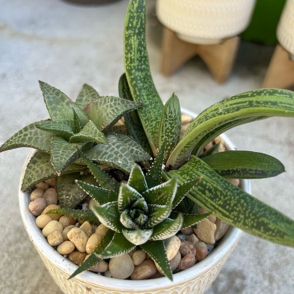 Meet your Posher, Nina - Picture 7 of 13